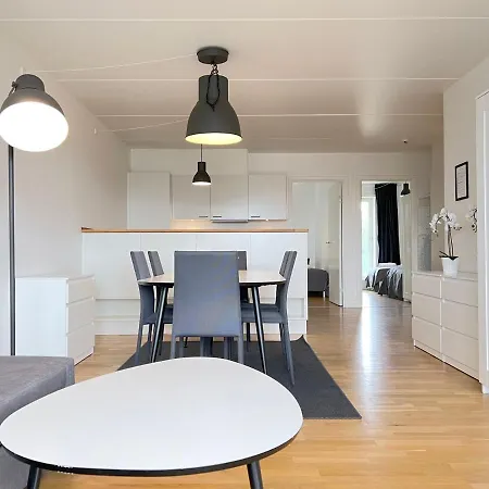 3 Bedroom At Margretheholmsvej With Balcony Near The Opera House And The Center شقة